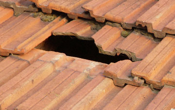 roof repair Brocton